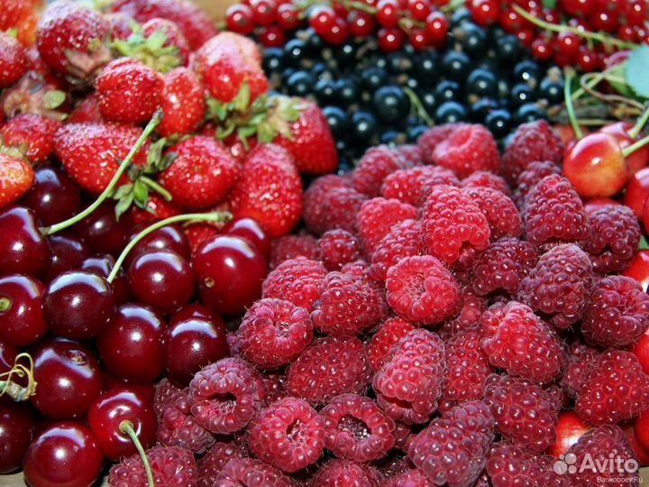 Ягоды, грибы, овощные заморозки, орех