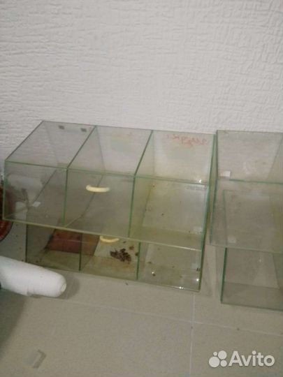 Витрина для снеков, сухофруктов