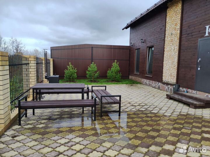 Саженцы хвойные деревья сосна ель