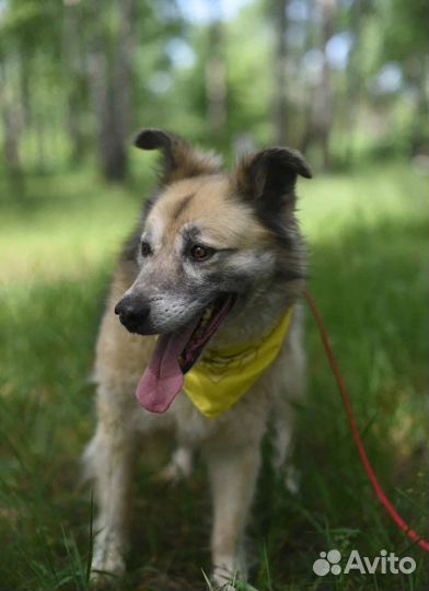 Букля ждет своих родителей