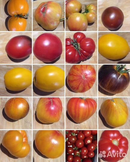 Помидорвкуснятина Семена