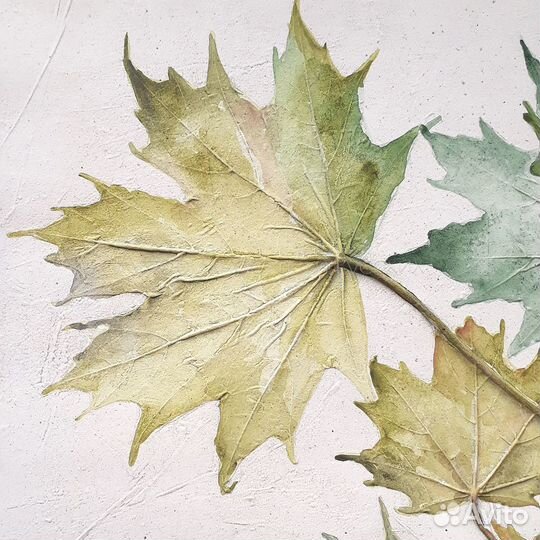 Ботанический барельеф 