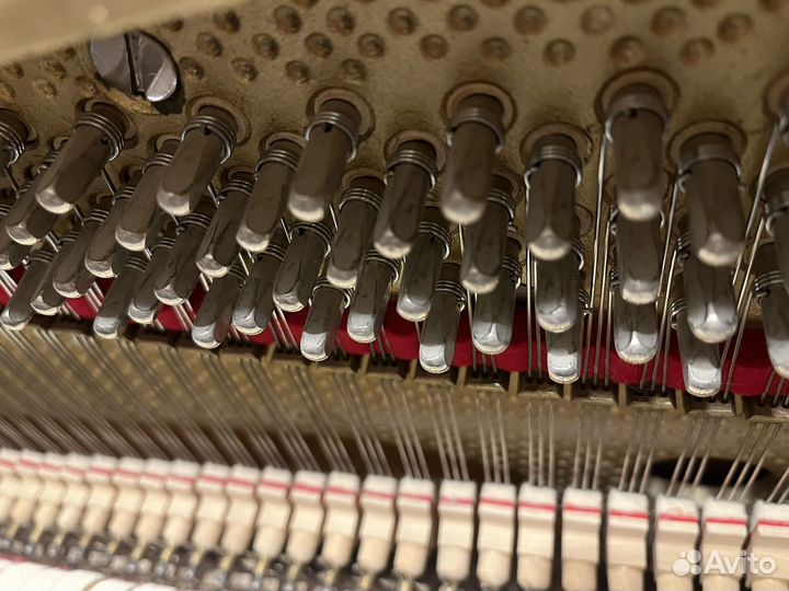 Пианино Petrof Sonatina