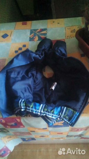 Комбинезон для мелкой собачки