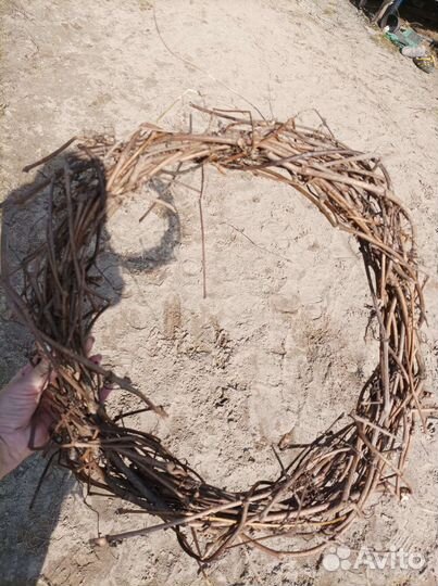 Основы из лозы (девичьего винограда)