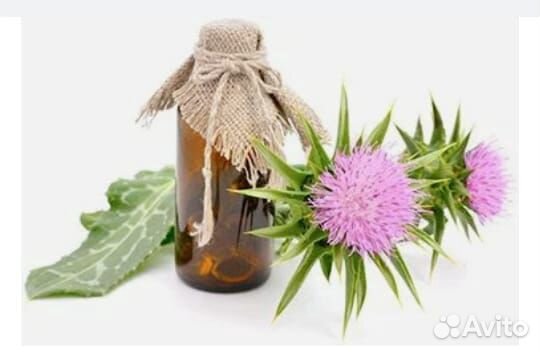 Масло Расторопши (сыродавленное)