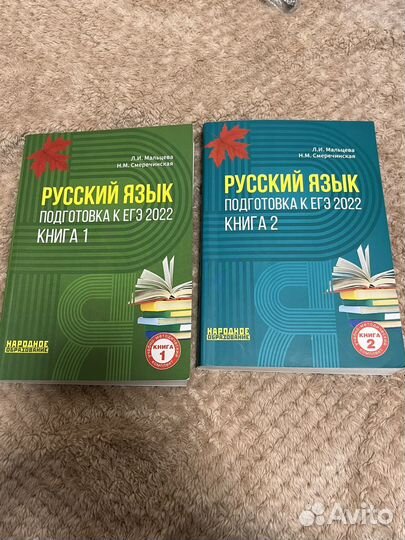 Подготовка к ЕГЭ по русскому языку 2022