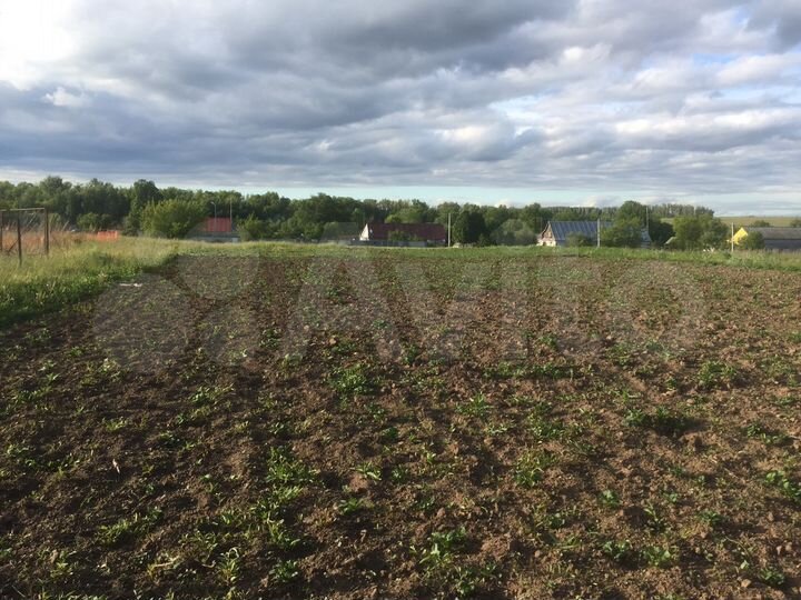 Участок 25 сот. (ИЖС)