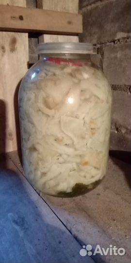 Грибы грузди