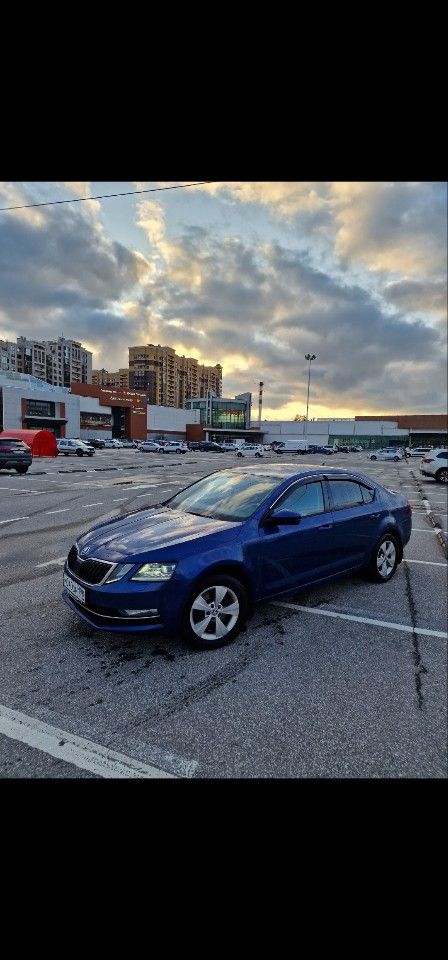 Skoda Octavia: фото владельца
