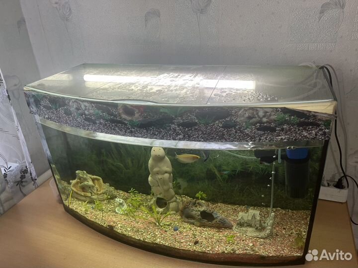 Аквариум 100л