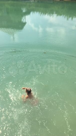 Участок 70 сот. (СНТ, ДНП)