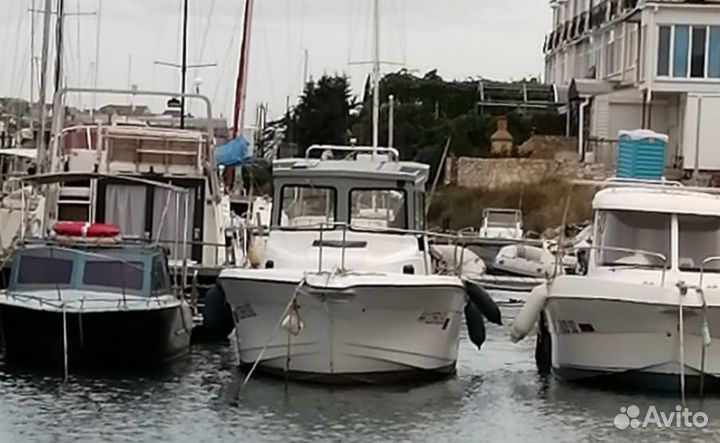 Катер байлайнер трофи 2509