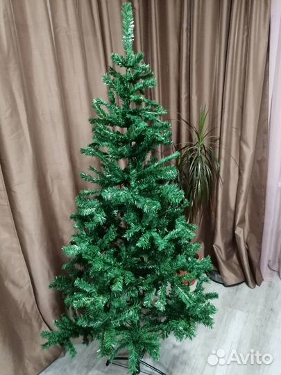 Елка пушистая