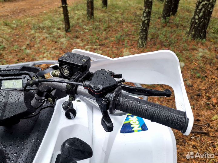 Квадроцикл promax renegade 300