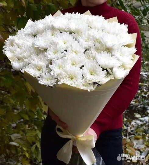 Хризантема