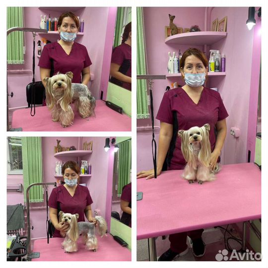 Грумер стрижка собак и кошек с выездом на дом