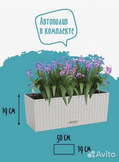 Кашпо с автополивом Lechuza Balconera 50