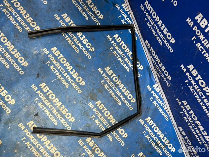 Уплотнитель стекла двери Nissan Murano Z50