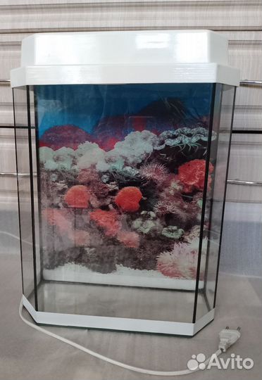 Аквариум