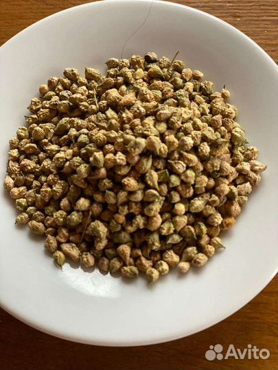 Семена свербиги восточной