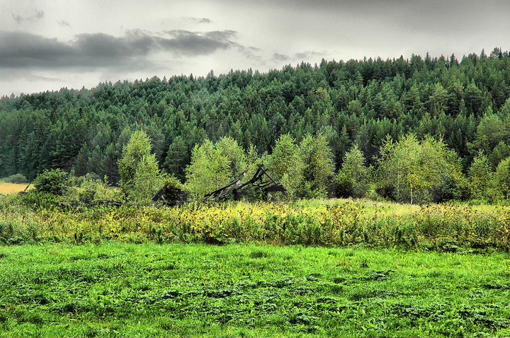 Участок 15 сот. (ИЖС)