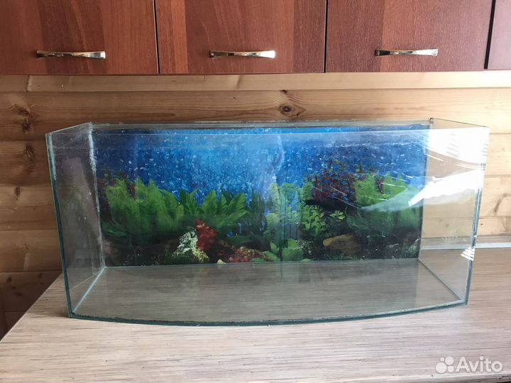Аквариум 100 литров
