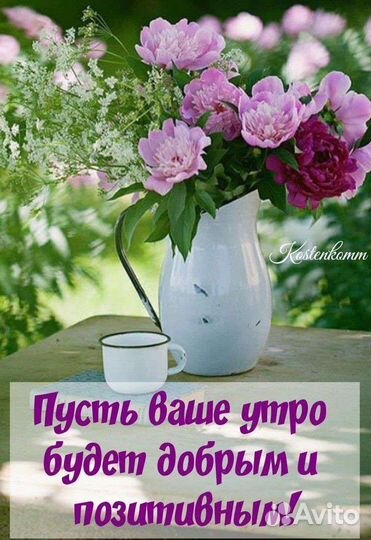 Провожу и стречу