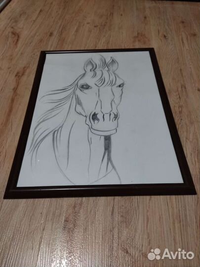 Коллаж: Лошади