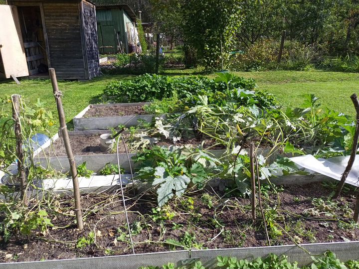 Дом 54 м² на участке 8,1 сот.