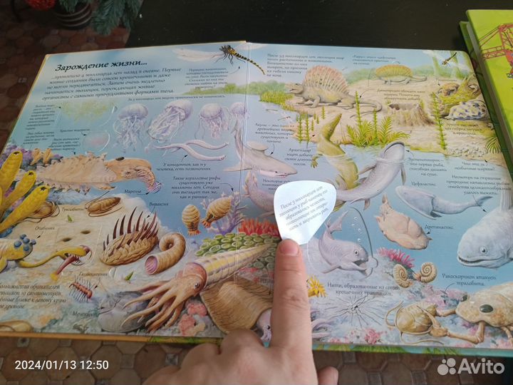 Серия книг Открой тайны