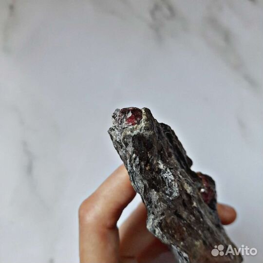 Гранат (альмандин) в метаморфическом сланце