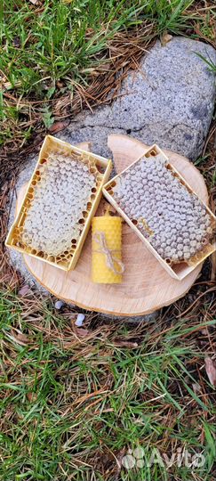 Варенье из сосновых шишек