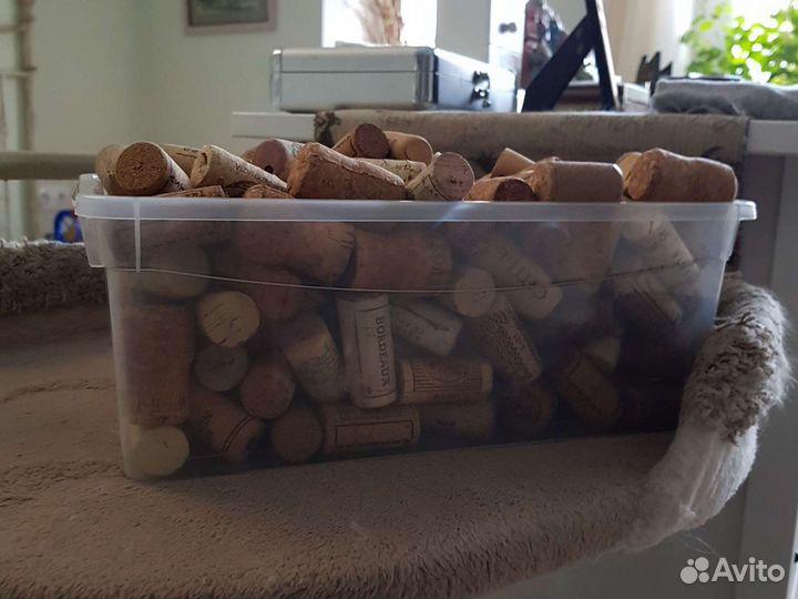 Винные пробки