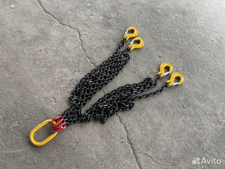 Паук цепной