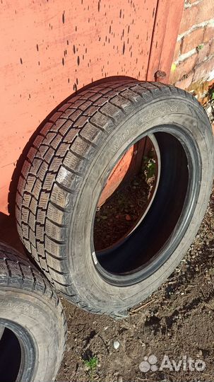 Dunlop SP Winter Maxx WM01 205/55 R16 94