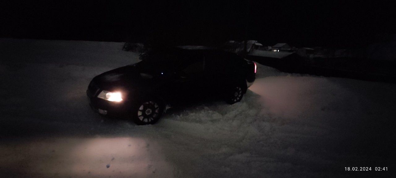 Skoda Octavia: фото владельца