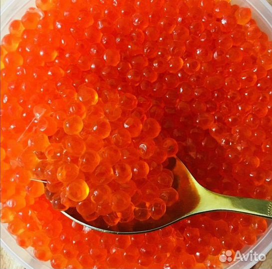 Икра Красная 2023(Охлаждёнка) Доставка по городу