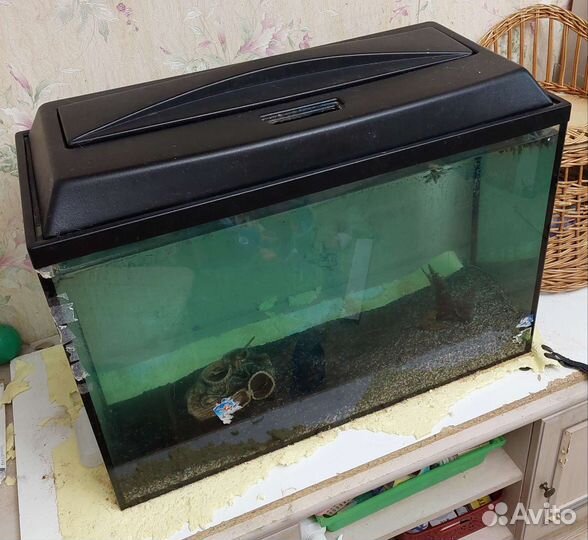Аквариум