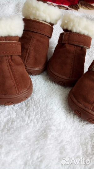 Сапожки и носки для собак (новые)