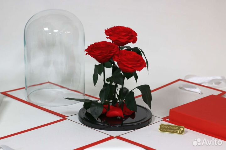 Цветы