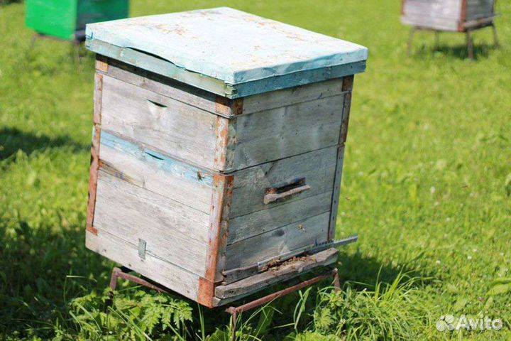 Улей для пчел бу