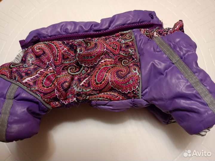 Одежда для маленьких собак бу