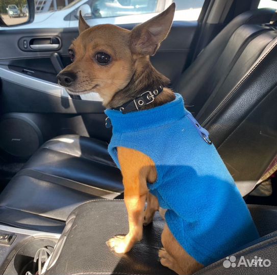 Кофта для собак/котов (флиска)