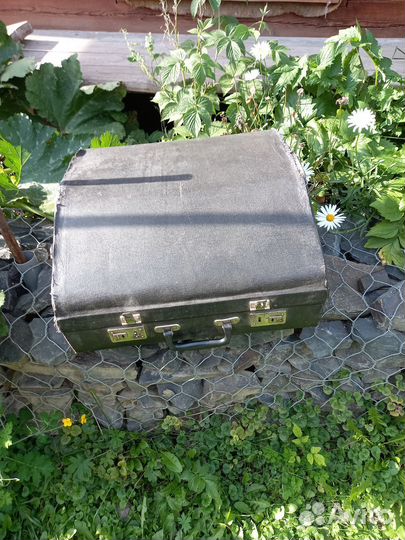 Баян россия