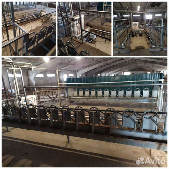 Козья ферма - Сыроварня