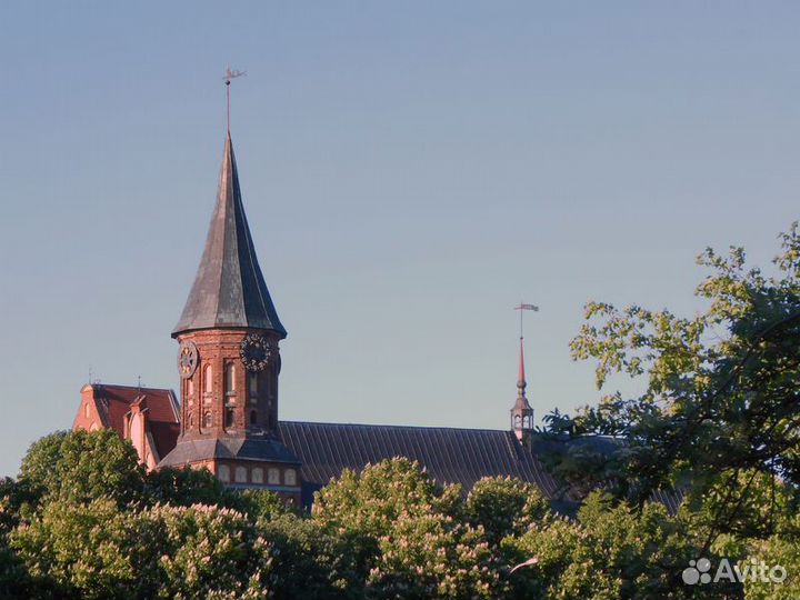 Экскурсия — Калининград — Калининград: город в цен