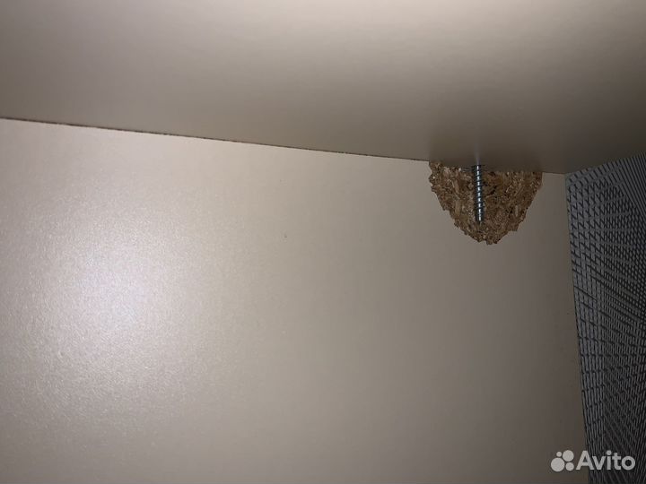 Двухъярустная кровать внизу со столом, шкафом