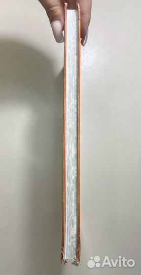 Коты-воители. Память племен: путеводитель