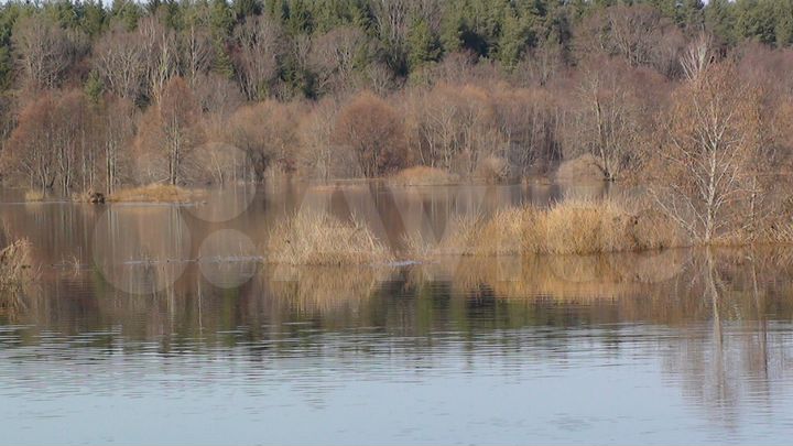 Участок 25 сот. (ИЖС)